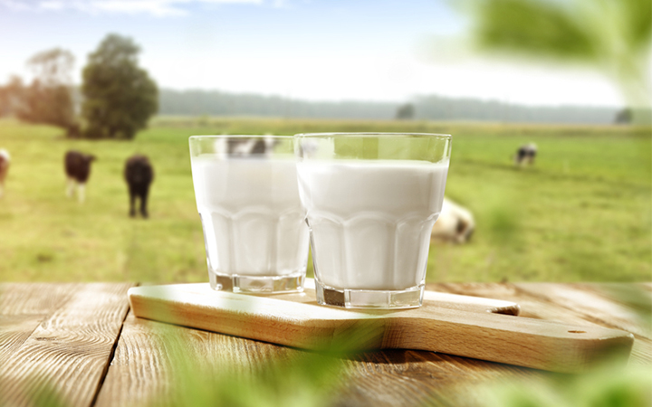 farm-fresh-pure-organic-cow-milk-delhi
