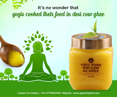 it-s-no-wonder-that-yogic-cooked-their-food-in-desi-cow-ghee
