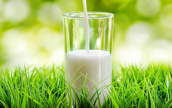 what-is-a2-milk-and-its-benefits