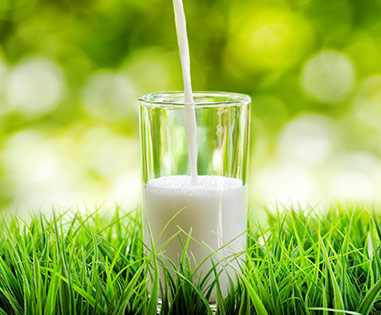 what-is-a2-milk-and-its-benefits