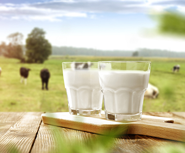 farm-fresh-pure-organic-cow-milk-delhi